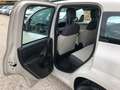 Fiat Panda Panda 0.9 twin air natural power Easy Beige - thumbnail 12