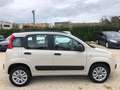 Fiat Panda Panda 0.9 twin air natural power Easy Beige - thumbnail 7