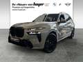 BMW X7 xDrive40d M Sportpaket Pro AHK Pano STHZ DAB Szary - thumbnail 1