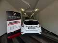Ford Fiesta Fiesta 1.5 TDCi 75CV 5 porte Titanium Bianco - thumbnail 13