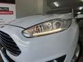 Ford Fiesta Fiesta 1.5 TDCi 75CV 5 porte Titanium Bianco - thumbnail 2