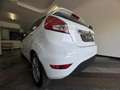 Ford Fiesta Fiesta 1.5 TDCi 75CV 5 porte Titanium Bianco - thumbnail 14