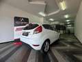 Ford Fiesta Fiesta 1.5 TDCi 75CV 5 porte Titanium Bianco - thumbnail 8