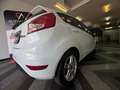 Ford Fiesta Fiesta 1.5 TDCi 75CV 5 porte Titanium Bianco - thumbnail 12