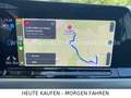 Volkswagen Golf VIII2,0 Tdi Move DSG ACC PANORAMA AHK PDC Grau - thumbnail 14