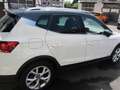 SEAT Arona FR Blanc - thumbnail 3