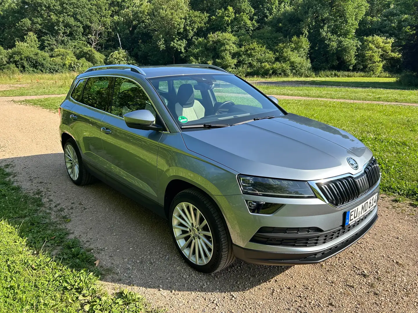 Skoda Karoq Karoq 2.0 TDI SCR 4x4 DSG Style Grau - 1