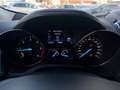 Ford Kuga 2.0 TDCI 150 CV S&S 4WD Powershift Vignale Grigio - thumbnail 12