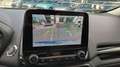 Ford EcoSport 1.0 EcoBoost 100 CV ST-Line Blu/Azzurro - thumbnail 13