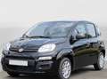 Fiat New Panda Blanc - thumbnail 1