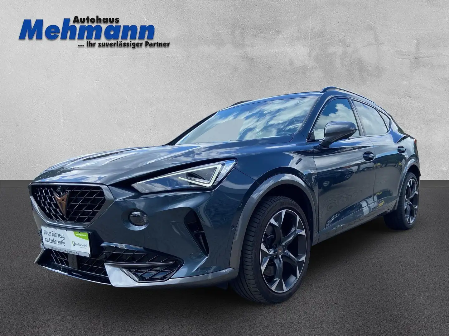 CUPRA Formentor VZ 2.0TSI DSG 4Drive   Navi*LED*360° Grijs - 1