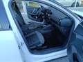 Citroen C4 1.2 Hybrid 136cv DC6 BUSINESS KM ZERO Bianco - thumbnail 10