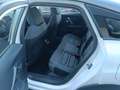 Citroen C4 1.2 Hybrid 136cv DC6 BUSINESS KM ZERO Bianco - thumbnail 11