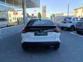 Citroen C4 1.2 Hybrid 136cv DC6 BUSINESS KM ZERO Bianco - thumbnail 6