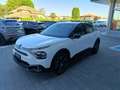Citroen C4 1.2 Hybrid 136cv DC6 BUSINESS KM ZERO Bianco - thumbnail 3