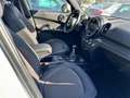 MINI One D 5p 1.5 Business 116 CV   OK NEOPATENTATI Bianco - thumbnail 6