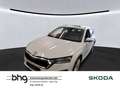 Skoda Octavia Combi 2.0 TDI DSG Pano AHK Kamera GRA Weiß - thumbnail 1
