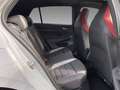 Volkswagen Golf GTI Clubsport 2.0 TSI DSG Panoramadach Navi Grau - thumbnail 13