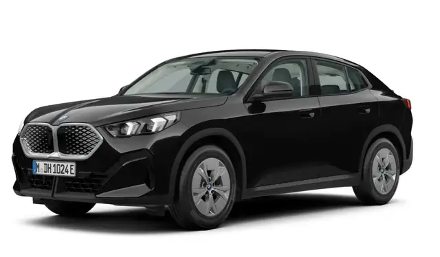 BMW iX2 xDrive30 17"LM LED RFK Shz PDC