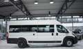 Fiat Ducato 40 L4H2 140 Multijet Maxi *1.H *17-Sitzer Weiß - thumbnail 6