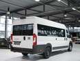 Fiat Ducato 40 L4H2 140 Multijet Maxi *1.H *17-Sitzer Weiß - thumbnail 7