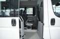Fiat Ducato 40 L4H2 140 Multijet Maxi *1.H *17-Sitzer Weiß - thumbnail 20
