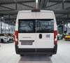 Fiat Ducato 40 L4H2 140 Multijet Maxi *1.H *17-Sitzer Weiß - thumbnail 8