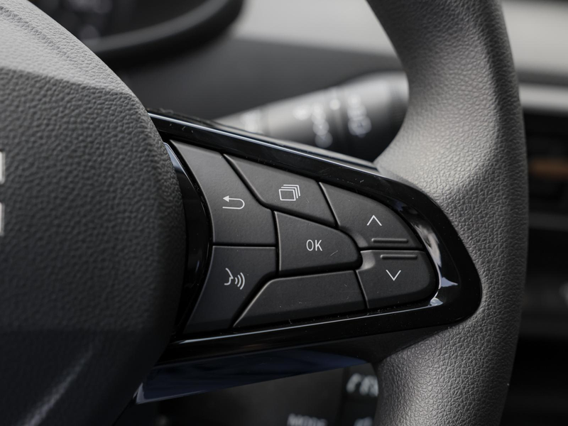 Dacia Sandero Stepway Essential Eco-G 120 PDC KLIMA BT — photo 14