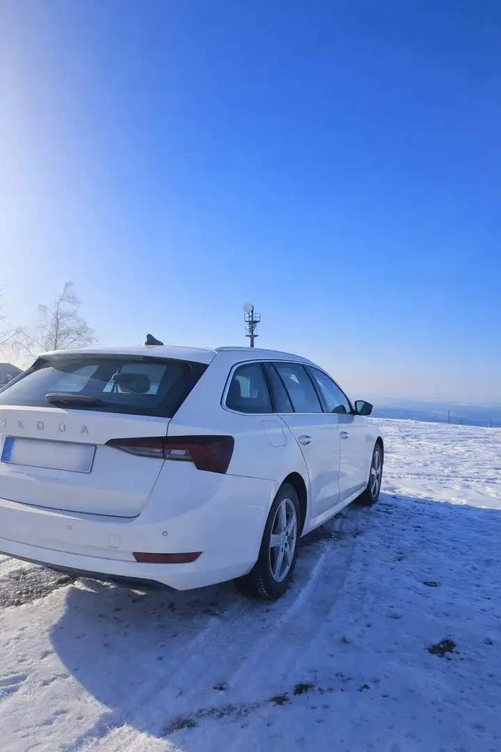 Skoda Octavia Octavia Combi 2,0 TDI Premium DSG Premium Weiß - 2