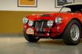 Austin-Healey 3000 - MK I volledig Rally opgebouwd, FIVA Approved Rot - thumbnail 11