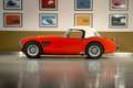 Austin-Healey 3000 - MK I volledig Rally opgebouwd, FIVA Approved Rot - thumbnail 3