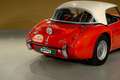 Austin-Healey 3000 - MK I volledig Rally opgebouwd, FIVA Approved Rot - thumbnail 14
