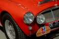 Austin-Healey 3000 - MK I volledig Rally opgebouwd, FIVA Approved Rot - thumbnail 12