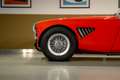 Austin-Healey 3000 - MK I volledig Rally opgebouwd, FIVA Approved Rot - thumbnail 6