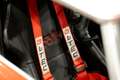 Austin-Healey 3000 - MK I volledig Rally opgebouwd, FIVA Approved Rot - thumbnail 40