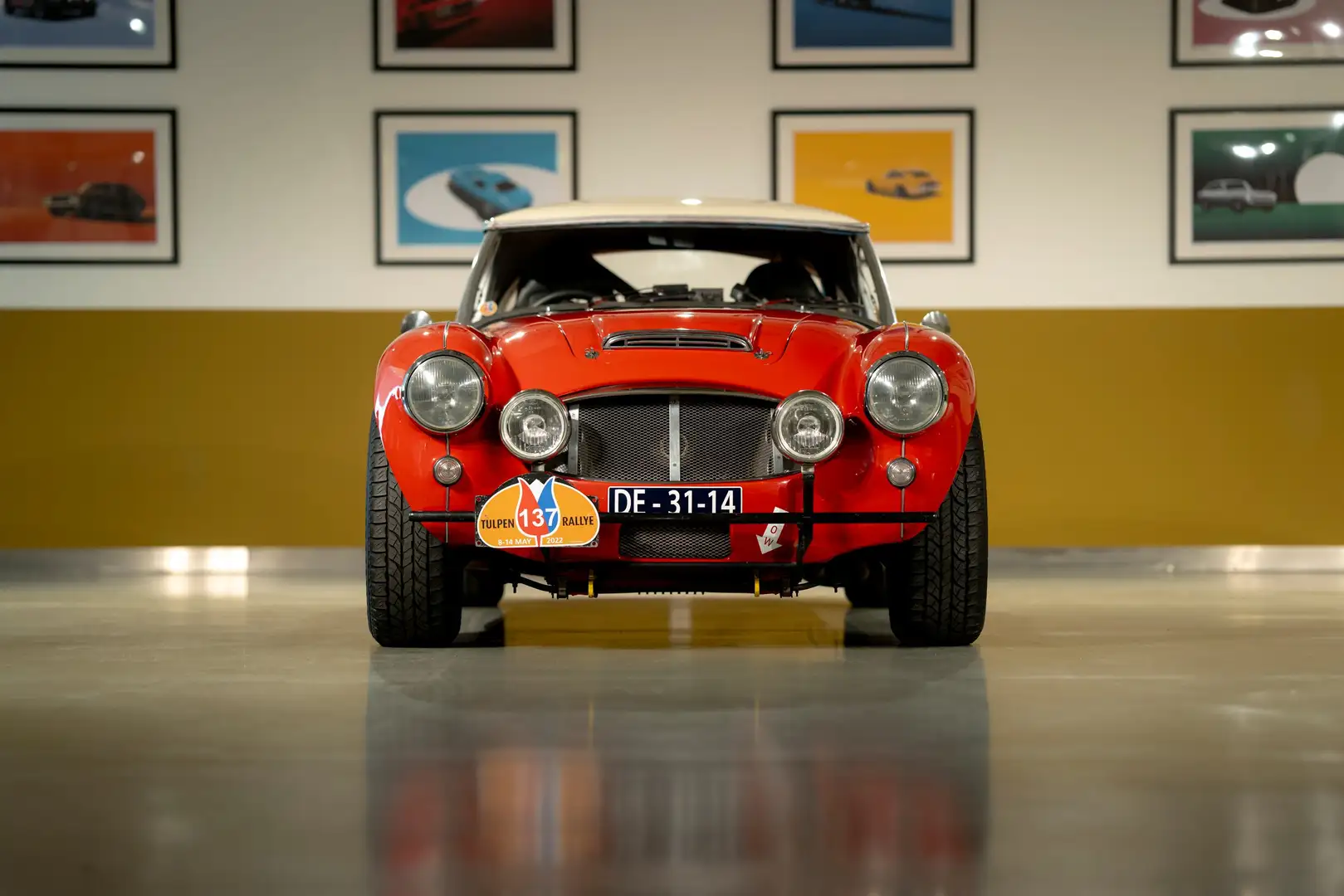 Austin-Healey 3000 - MK I volledig Rally opgebouwd, FIVA Approved Rot - 2