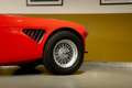 Austin-Healey 3000 - MK I volledig Rally opgebouwd, FIVA Approved Rot - thumbnail 7