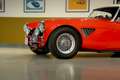 Austin-Healey 3000 - MK I volledig Rally opgebouwd, FIVA Approved Rot - thumbnail 8