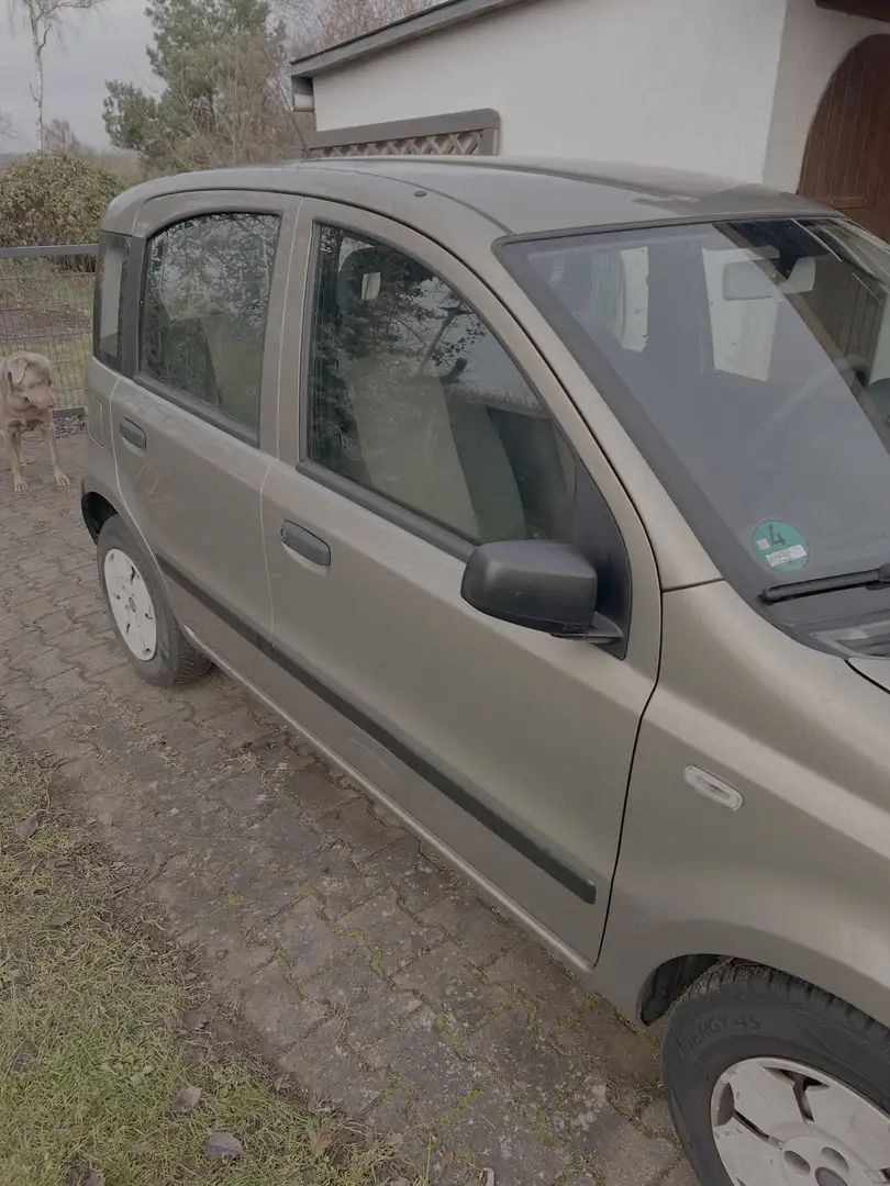 Fiat Panda Panda 1.2 Dynamic Marrón - 2