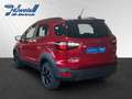Ford EcoSport Active 1.0 EcoBoost +RFK+LED+PDC+NAVI+SZH+TWA+ Rouge - thumbnail 3