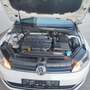 Volkswagen Golf Cool 1,6 TDI, AHV elektr. Service neu Blanc - thumbnail 9