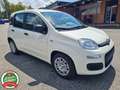Fiat Panda 1.0 firefly hybrid 5p.*CRUISE*USB*PDC*NO VINCOLI* Bianco - thumbnail 4