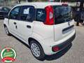 Fiat Panda 1.0 firefly hybrid 5p.*CRUISE*USB*PDC*NO VINCOLI* Bianco - thumbnail 6