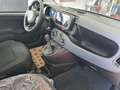 Fiat Panda 1.0 firefly hybrid 5p.*CRUISE*USB*PDC*NO VINCOLI* Bianco - thumbnail 10