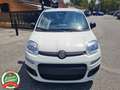 Fiat Panda 1.0 firefly hybrid 5p.*CRUISE*USB*PDC*NO VINCOLI* Bianco - thumbnail 3