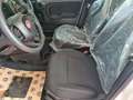 Fiat Panda 1.0 firefly hybrid 5p.*CRUISE*USB*PDC*NO VINCOLI* Bianco - thumbnail 8