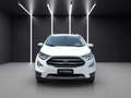 Ford EcoSport 1.0 EcoBoost 125 CV Start&Stop Titanium Alb - thumbnail 9