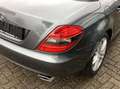 Mercedes-Benz SLK 300 Grand edition, face lift, nekverwarming, lederen b - thumbnail 13