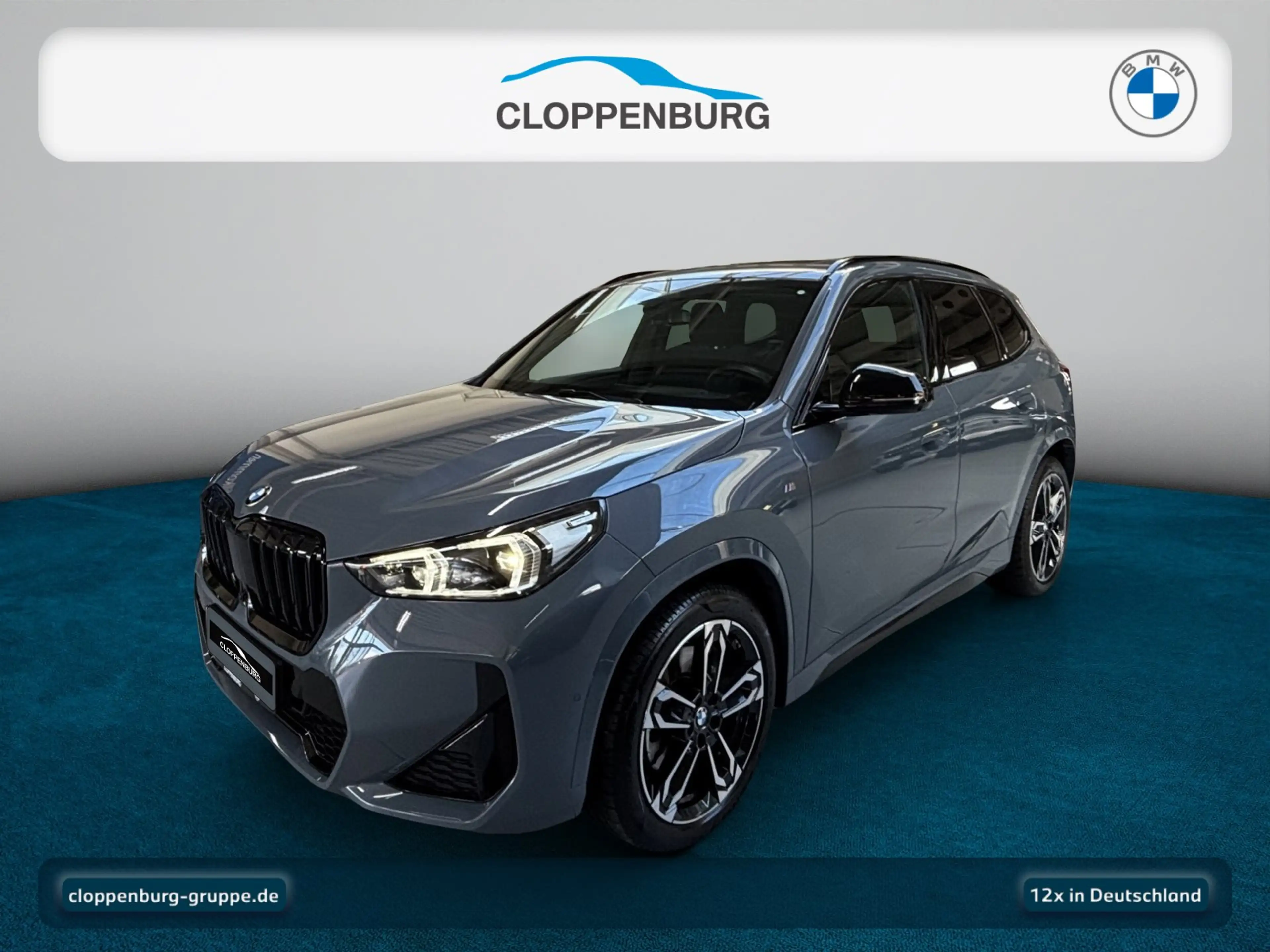 BMW X1 xDrive23i M Sport Head-Up+Navi+Pano+Kamera+BT