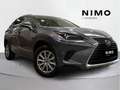 Lexus NX 300 300h Business 2WD - thumbnail 1